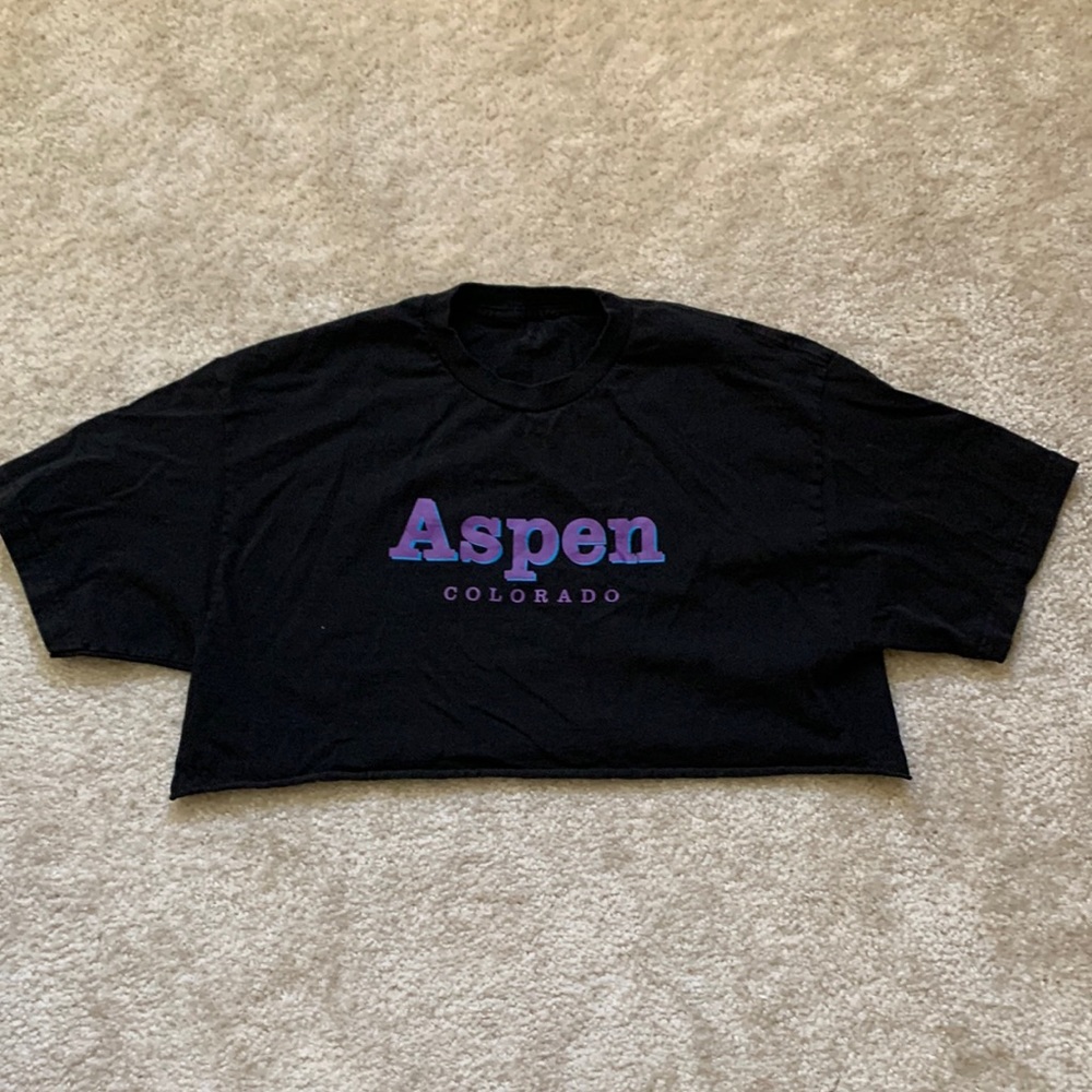 Brandy Melville cropped Aspen tee